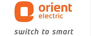 Company logo - ori.jpg